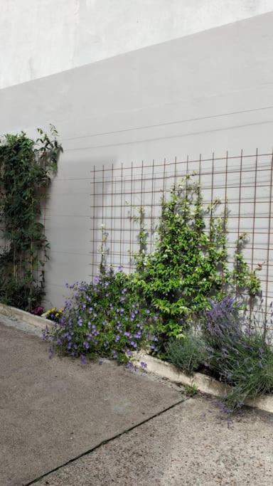 Apartamento Experience Inouie A Orleans ! Exterior foto